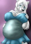  2016 anthro belly big_belly big_breasts blue_eyes breasts canine clothed clothing female fur hair hand_on_breast hand_on_stomach long_hair malga mammal nipple_bulge pregnant purple_background simple_background smile solo white_fur white_hair 