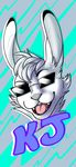  anthro clothed clothing eyewear lagomorph looking_at_viewer male mammal rabbit rorr smile solo sunglasses 