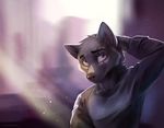  ambiguous_gender anthro black_nose blurred_background canine clothed clothing day eyebrows fur grey_eyes grey_fur hand_behind_head koul mammal scar smile solo wolf 