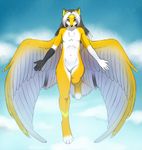  4_toes 5_fingers ajna anthro canine chest_tuft day feathered_wings feathers featureless_crotch flying fur grey_hair grey_nose hair looking_at_viewer male mammal navel nude outside sky toes tuft wide_hips wings yellow_eyes yellow_fur 