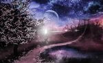  bare_tree blurry cloud commentary dark depth_of_field flower grass highres hill lamppost lens_flare light_particles moon night night_sky no_humans original path pond reflection road scenery silhouette sky star_(sky) third-party_edit torii touhou tree water 