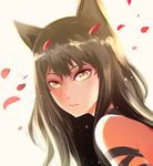  animal_ears arm_ribbon bangs black_hair blake_belladonna bow cat_ears cat_girl closed_mouth eyelashes from_side h-y-d highres light_particles lips long_hair looking_at_viewer petals portrait ribbon rwby slit_pupils solo spoilers yellow_eyes 