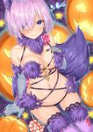  animal_ears artist_name ass_visible_through_thighs blush breasts candy cleavage dangerous_beast dutch_angle elbow_gloves eyes_visible_through_hair fate/grand_order fate_(series) food fur-trimmed_gloves fur-trimmed_legwear fur_trim gloves hair_over_one_eye hakuishi_aoi halloween halloween_costume large_breasts looking_at_viewer mash_kyrielight navel o-ring o-ring_top pumpkin purple_eyes purple_hair revealing_clothes ribbon shiny shiny_skin short_hair sitting smile solo tail thighhighs wolf_ears wolf_tail 