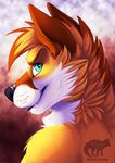  2016 abstract_background anthro black_nose brown_fur bust_portrait canine digital_media_(artwork) fox franky fur green_eyes looking_at_viewer looking_back male mammal multicolored_fur orange_fur portrait rear_view silvixen solo watermark white_fur 