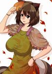  animal_ears autumn_leaves breasts brown_eyes brown_hair futatsuiwa_mamizou glasses hand_on_hip impossible_clothes impossible_shirt large_breasts leaf open_mouth pince-nez raccoon_ears raccoon_tail shirt smile solo tail touhou umasan 
