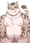  anthro balls belly blush cum cum_on_chest cum_on_face cum_on_stomach digital_media_(artwork) felid feline flaccid green_eyes leopard_cat licking licking_lips looking_at_viewer male mammal motion_lines musclegut navel nekojishi nipples nude one_eye_closed overweight overweight_male pecs penis penis_base prionailurus pubes shu-chi simple_background sitting slightly_chubby smile solo tongue tongue_out v2wolf wink 