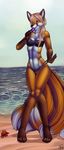  4_toes 5_fingers amber_eyes anthro beach bikini black_nose bourbon._(artist) camel_toe canine clothing day digitigrade female fox fur mammal midriff multi_tail navel orange_fur outside seaside smile solo standing swimsuit tan_hair toes wide_hips 