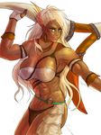  1girl abs breasts female green_eyes loincloth lonh_hair muscle navel rumba_(mokapurin) shin_sangoku_musou solo toned white_hair zhu_rong 