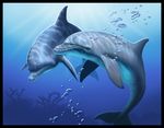  ambiguous_gender bubble cetacean dolphin duo feral jaxxblackfox looking_at_viewer mammal marine underwater water 
