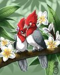  ambiguous_gender avian beak bird cardinal_(bird) duo feathered_wings feathers feral flower jaxxblackfox outside plant smile wings 