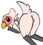  avian balls bird blush butt drgons martin_(dosent) 