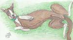  barzoi canine collar dog feral grass greyhound happy mammal nude penis sex slokha yenza 