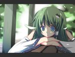  bare_shoulders blue_eyes detached_sleeves frog green_hair hair_ornament kochiya_sanae long_hair shadow solo touhou yuzuhara902 