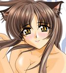  amber_eyes animal_ears blush blushing breasts brown_hair cat_ears long_hair nekomimi yellow_eyes 