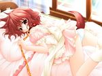  collar hinata inumimi leash lying panties pure_pure red_eyes redhead sakurazawa_izumi short_hair socks tail waitress wallpaper 