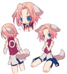  animal_ears blue_eyes collar dog_ears haruno_sakura hayashi_rin inumimi lowres naruto pink_hair sakura_haruno short_hair shorts 