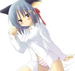  animal_ears arm_support artist_request bed blush brown_eyes cat_ears copyright_request dress_shirt dutch_angle hair_ornament hair_ribbon hairclip long_sleeves no_pants panties paw_pose pink_panties ribbon shirt silver_hair sitting solo striped underwear 