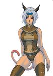  animal_ears artist_request cameltoe cat_ears final_fantasy final_fantasy_xi mithra red_eyes silver_hair solo tail thighhighs 