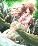  1girl animal_ears bare_feet barefoot bell brown_eyes brown_hair cat_ears forest long_hair nature nekomimi open_clothes open_shirt outdoors outside ribbon shirt shorts solo toes 