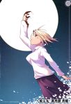  arcueid_brunestud kotamaru screening tagme tsukihime 