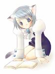  animal_ears book cat_ears gyakuten_saiban karuma_mei lowres mole mole_under_eye no_legwear okahara_megu solo 