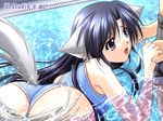  1boy 1girl animal_ears black_hair blue_hair dog_ears doggirl game_cg grey_eyes hcg inumimi long_hair swimsuit wet 