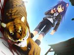  1girl amber_eyes animal_ears blood blue_hair boots chain chains collar dog_ears game_cg hcg kotarou kotarou_(wanko) long_hair nekomimi shorts sky tiger wanko_to_kurasou yellow_eyes 