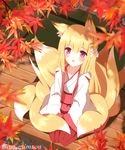  animal_ears blonde_hair blush commentary_request eyebrows eyebrows_visible_through_hair flower fox_ears hair_flower hair_ornament highres japanese_clothes kimono leaf long_hair maple_leaf miko multiple_tails non_(wednesday-classic) original red_eyes sitting solo tail tatami 