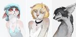  ambiguous_gender anthro canine collar feline female feral fur hair mammal multiple_images reykat simple_background 