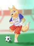  ball canine fengze male mammal mascot russia russian soccer solo sport wolf zabivaka 