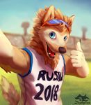  ball canine fifa male mammal mascot russia russian soccer solo sport urbanmonster wolf world_cup zabivaka 