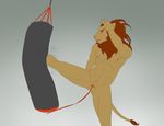  9x9 animal_genitalia anthro armpits balls cock_and_ball_torture feline grey_background kick leash lion male mammal nude sandbag sheath simple_background solo training 