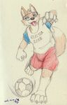  ball canine fifa male mammal mascot russia russian soccer solo sport wolf world_cup zabivaka 