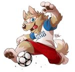  canine fifa male mammal mascot russia russian soccer solo sport takemotoarashi wolf world_cup zabivaka 