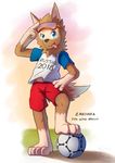  canine cercat drvee fifa male mammal mascot raliko russia russian soccer solo sport wolf world_cup zabivaka 