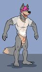  canine clothing erection mammal mapdark meme shirt ted wet_shirt wolf 