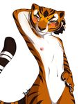  2016 anthro armpits bedroom_eyes blush bourbon._(artist) breasts erect_nipples facial_markings feline female flat_chested fur half-closed_eyes kung_fu_panda leg_markings mammal markings master_tigress nipples orange_eyes orange_fur seductive simple_background smile solo tail_markings tiger white_fur 