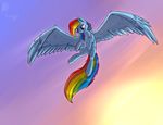  blue_feathers blue_fur day equine eyelashes feathered_wings feathers feral flying friendship_is_magic fur gradient_background hair hooves mammal multicolored_hair my_little_pony nude outside pegasus pink_eyes rainbow_dash_(mlp) rainbow_hair simple_background sky solo suplolnope wings 