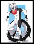  2016 4_toes 5_fingers abstract_background anthro armpits big_tail black_border black_fur black_nose black_tail blue_eyes border canine claws collar countershade_tail digital_media_(artwork) digitigrade dog featureless_crotch fluffy fluffy_tail frisbee front_view fur hair hi_res husky long_tail male mammal naturally_censored navel nude on_one_leg outside_border signature simple_background solo standing tartii toe_claws toes two_tone_tail white_fur white_hair white_tail 