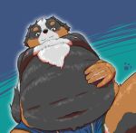  2019 7gaku_7 anthro belly blue_background canid canine canis clothing domestic_dog humanoid_hands male mammal moobs navel nipples overweight overweight_male simple_background solo underwear 