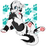  2016 anthro arm_support black_fur black_nose black_tail blue_eyes canine citrinelle digital_media_(artwork) dog full-length_portrait fur hair husky looking_at_viewer male mammal multicolored_fur nude pattern_background pawpads pawprint paws pink_pawpads pink_tongue portrait pose reclining signature simple_background solo tasteful_nudity tongue tongue_out two_tone_fur two_tone_tail white_fur white_hair white_tail 