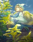  animal_ears bangs blonde_hair blue_sky blurry breasts closed_mouth cloud day depth_of_field dutch_angle fox_ears fox_tail frills from_below hands_in_opposite_sleeves hat hidebo highres kyuubi long_hair long_sleeves looking_away medium_breasts multiple_tails outdoors pillow_hat plant shade sky smile solo standing tabard tail tassel touhou wide_sleeves wind yakumo_ran yellow_eyes 