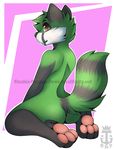  2016 3_toes abstract_background anthro big_eyes black_fur black_nose black_tail brown_eyes digital_media_(artwork) fluffy fluffy_tail full-length_portrait fur green_fur green_tail looking_at_viewer looking_back male mammal multicolored_fur nude pawpads paws pink_pawpads portrait pose raccoon ragscoon rear_view ringed_tail slushie-nyappy-paws solo toes two_tone_tail watermark white_fur 