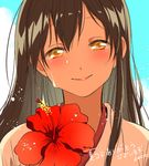  akagi_(kantai_collection) bangs blush brown_eyes brown_hair closed_mouth cloud day deco_(geigeki_honey) eyebrows eyebrows_visible_through_hair flower head_tilt hibiscus japanese_clothes kantai_collection long_hair looking_at_viewer pink_lips portrait red_flower sketch sky smile solo straight_hair translated water_drop wet wet_hair yellow_eyes 