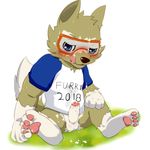  2016 anthro balls black_nose blue_eyes blush brown_fur canine clothed clothing cum digital_media_(artwork) english_text erection eyewear fifa fur goggles hair looking_at_viewer male mammal mascot multicolored_fur okunawa open_mouth penis russia russian shirt simple_background soccer solo sport spread_legs spreading text tongue tongue_out white_background wolf world_cup young zabivaka 