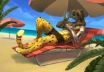  5_fingers abs beach bionics blonde_hair cat cheetah clothed clothing day digitigrade feline fur hair male mammal outside prosthetic robotics seaside simple_background smile solo spots spotted_fur syphon topless wolfy-nail yellow_fur 
