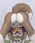  butt canine gender:male mammal wolf zabivaka 