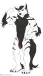  arcanine black_fur black_nose flaccid fur heterochromia multicolored_fur muscular nintendo nude penis pok&eacute;mon spelunker_sal video_games white_fur 