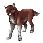  ambiguous_gender brown_fur canine eam0 feral fur green_eyes mammal nude paws red_nose simple_background solo standing white_background white_fur wolf 