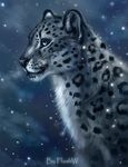  ambiguous_gender black_lips black_nose black_spots feline feral flashw fur grey_fur leopard mammal smile snow_leopard solo spots spotted_fur whiskers white_fur 